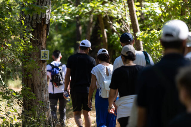 Δροσερές προτάσεις στην καρδιά του καλοκαιριού στη Βαμβακού Λακωνίας