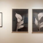 Η Μεγαλόχαρη εμπνέει τους καλλιτέχνες της Τήνου