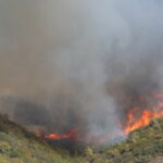 Φωτιά στην Αρχαία Νεμέα Κορινθίας – Προληπτική εκκένωση της περιοχής