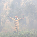 Φωτιά στην Αττική: Οι πρώτες εκτιμήσεις – Πάνω από 100 καμένα σπίτια και 100.000 στρέμματα