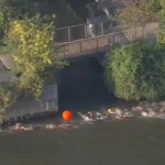 Ολυμπιακοί Αγώνες: Διεξήχθη κανονικά στον Σηκουάνα η μαραθώνια κολύμβηση [Βίντεο]