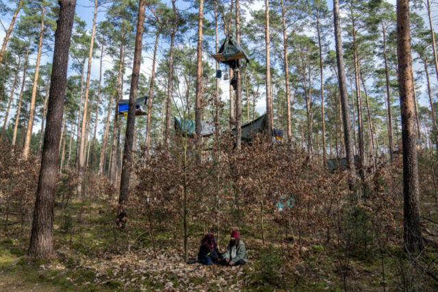 500.000 δέντρα κόπηκαν για να χτιστεί το μέγα-εργοστάσιο της Tesla στο Βερολίνο