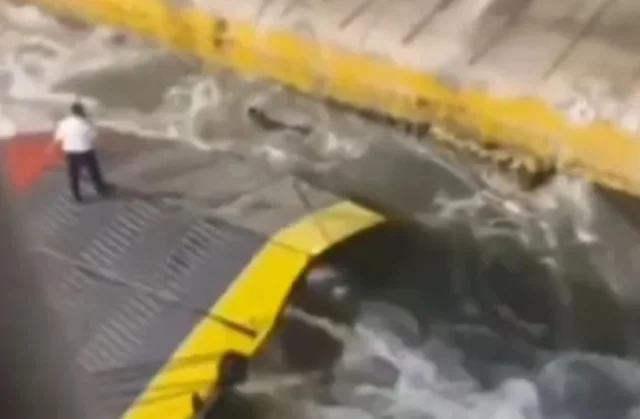 «Blue Horizon»: Στις 20 Ιανουαρίου 2025 η δίκη για τον θάνατο του Αντώνη Καργιώτη