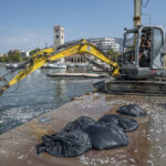 Παγασητικός: Καθάρισε αφού μαζεύτηκαν 270 τόνοι νεκρών ψαριών