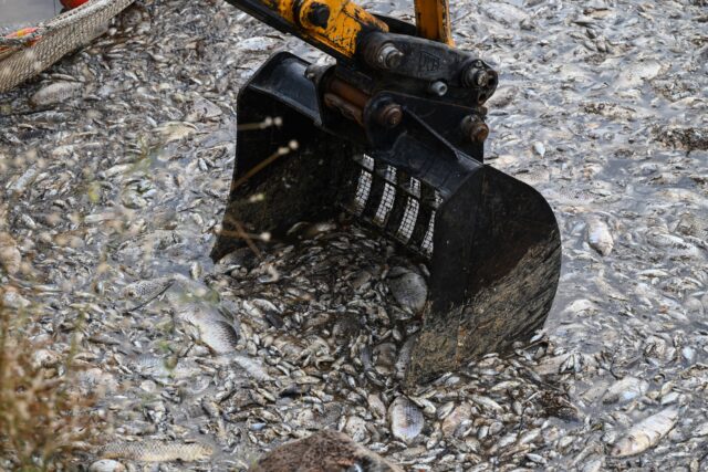 Βόλος: Απαγορεύεται το μπάνιο σε δεκάδες παραλίες