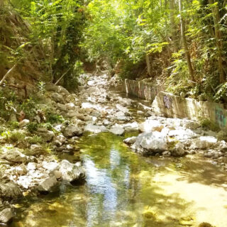 Τα ρέματα «υπερμεταδίδουν» πυρκαγιές; Τέσσερις περιβαλλοντικές οργανώσεις κατά της ενοχοποίησης των ρεμάτων