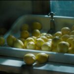 Familiar Phantoms: Ένα ντοκιμαντέρ για τη μνήμη, την ιστορία και το τραύμα προβάλλεται στο ΕΜΣΤ