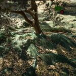 Έκκληση ελαιοπαραγωγών Κρήτης σε φοιτητές: «Ελάτε να μαζέψουμε ελιές»