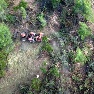 «Τα δάση δεν είναι κήπος, και τίποτε σε αυτά δεν αποτελεί ζιζάνιο για να αφαιρεθεί»