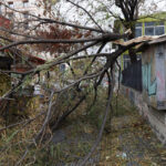 Κακοκαιρία Bora: Που θα παραμείνουν κλειστά τα σχολεία σήμερα