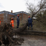 Ζημιές από το πέρασμα της κακοκαιρίας Bora στη Σιθωνία Χαλκιδικής