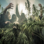 Το Heavy Psych Sounds Fest έρχεται να σαρώσει την Αθήνα