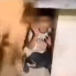 Κομοτηνή: Ακροδεξιοί τραμπουκίζουν ανυπεράσπιστο παιδί [ΒΙΝΤΕΟ]