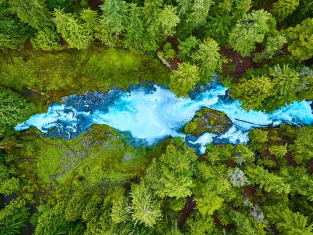 2+6 λόγοι για περιβαλλοντική αισιοδοξία το 2025