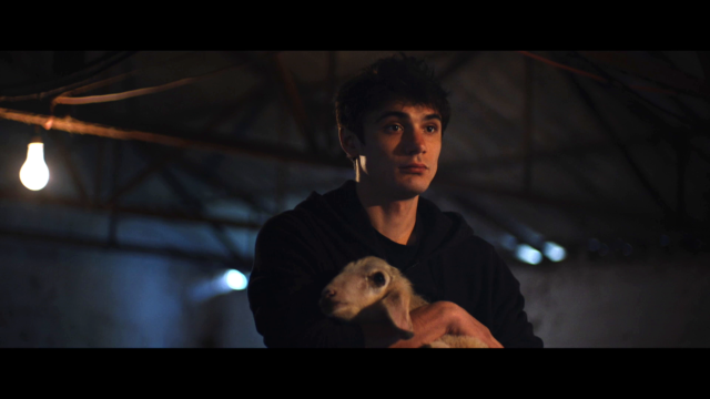 Τέσσερεις ελληνικές ταινίες στο φεστιβάλ κινηματογράφου της Τεργέστης