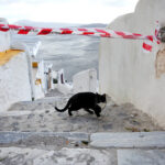 Νέος σεισμός 4,8 Ρίχτερ ανάμεσα σε Σαντορίνη και Αμοργό