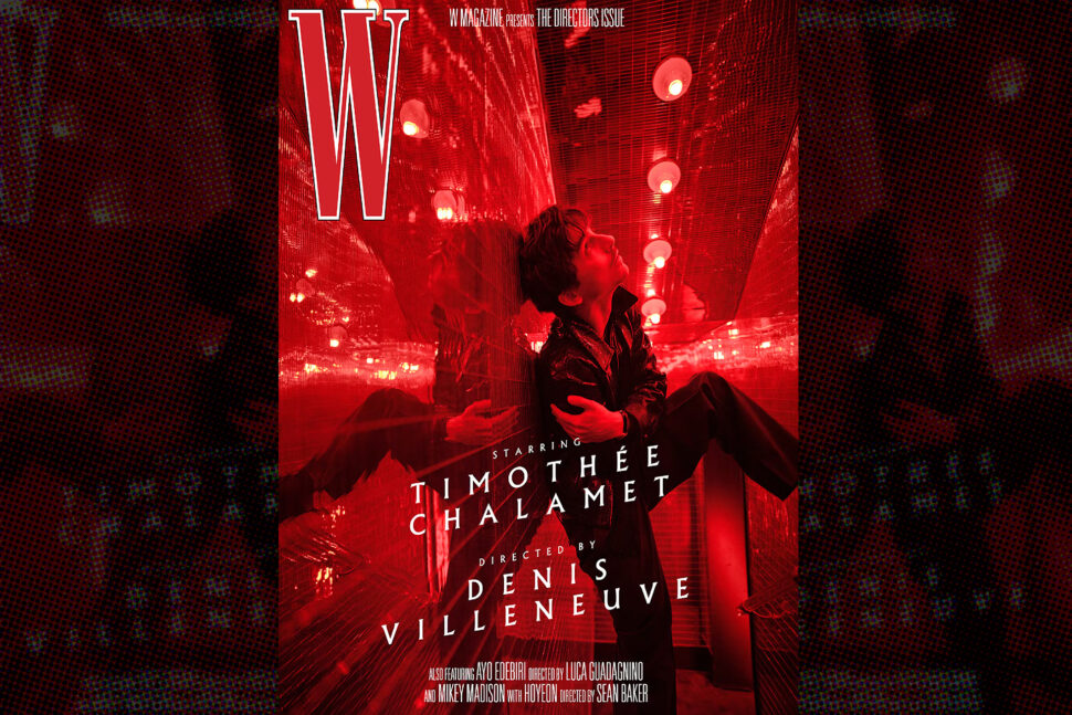 TIMOTHEE CHALAMET W MAGAZINE