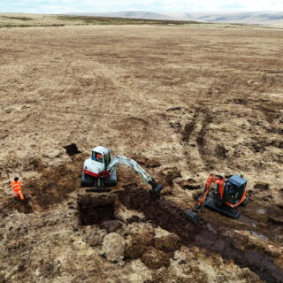 Η τύρφη είναι σημαντική για την περιβαλλοντική αναγέννηση
