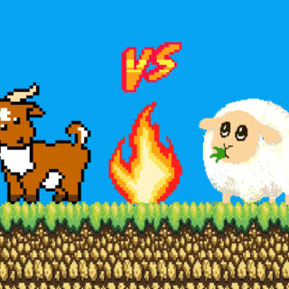 Αρνί ή κατσίκι; Ψηφίσαμε!