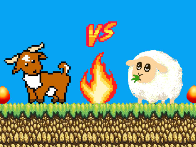 Αρνί ή κατσίκι; Ψηφίσαμε!