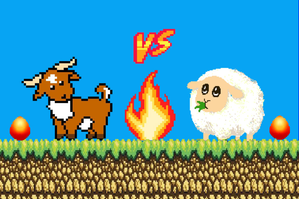 Αρνί Κατσίκι