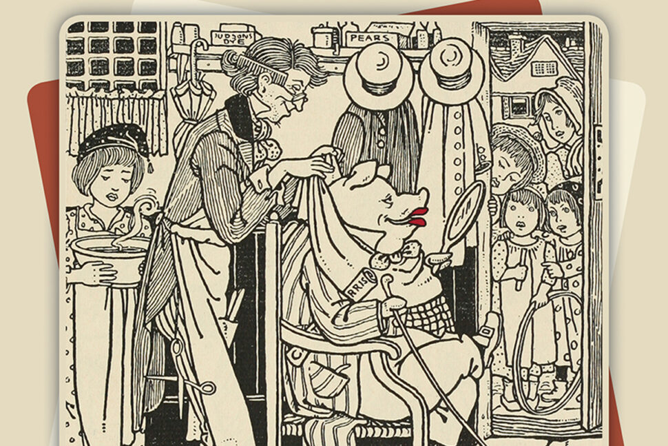 Νίκος Κουραχάνης ΜΚΟ