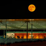 Full Moon Sleepovers: Το Πάρκο Σταύρος Νιάρχος ξενυχτάει