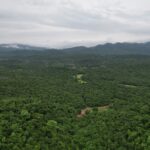 Ρεκόρ αποψίλωσης για τα τροπικά δάση: Χάθηκαν 67 εκατ. στρέμματα