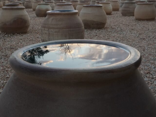 Η Δανάη Στράτου είναι η φετινή νικήτρια του Βραβείου Τέχνης 2025 του Ιδρύματος Γ. & Α. Μαμιδάκη.