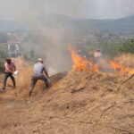 Τουρκία: Μάχη με τις φλόγες για δεύτερη ημέρα στη Σμύρνη