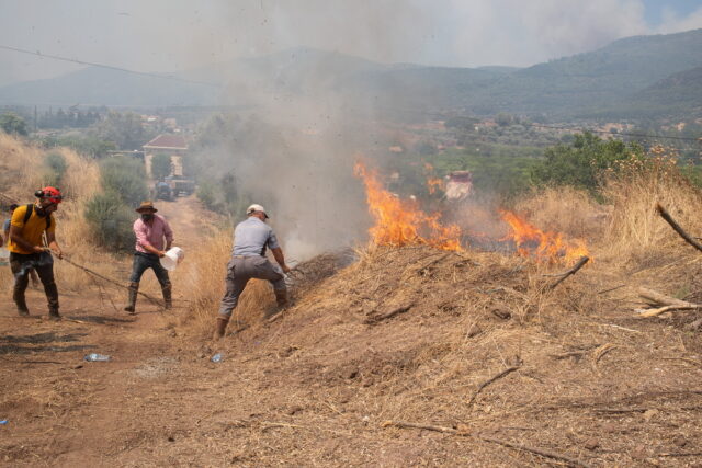Τουρκία: Μάχη με τις φλόγες για δεύτερη ημέρα στη Σμύρνη