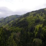 Δράμα: Δεν βρέθηκαν ίχνη επίθεσης από αρκούδα στη σορό του ορειβάτη