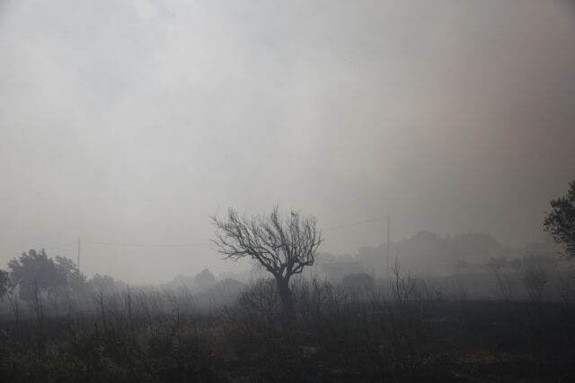 Σε ύφεση η πυρκαγιά σε δασική έκταση στον Φενεό