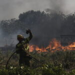 Φωτιά τώρα στη Φλώρινα – Ήχησε το 112