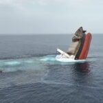 Eternity C: Δέκα διασωθέντες, εκ των οποίων ένας Έλληνας