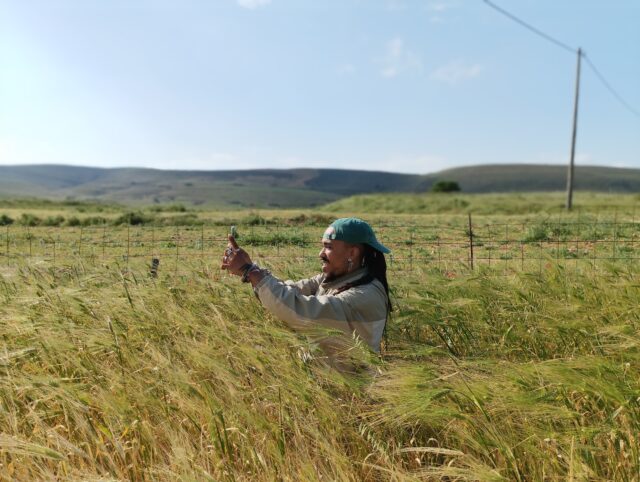 Το Kournos Music Festival επιστρέφει δυναμικά στη Λήμνο για 5η χρονιά