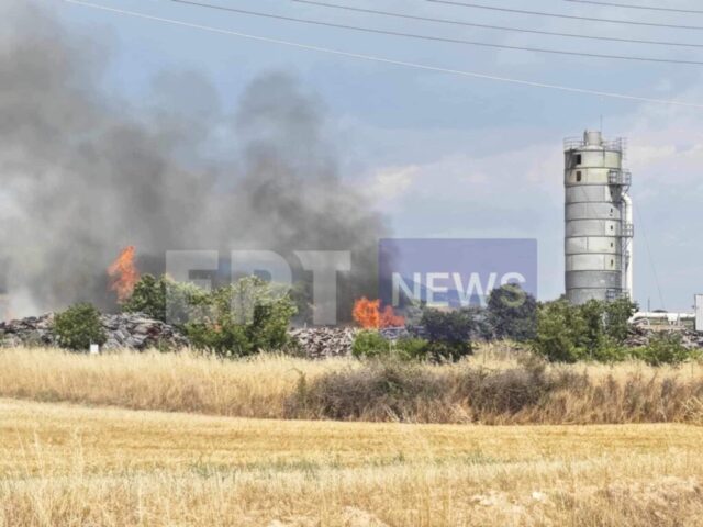 Σέρρες: Στις φλόγες τυλίχθηκε εργοστάσιο ξυλείας
