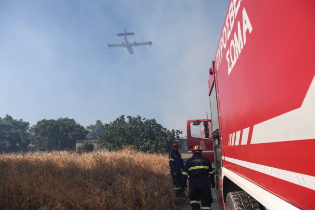 Φωτιά στον Φενεό Κορινθίας – Μήνυμα από το 112 για εκκένωση προς Στυμφαλία