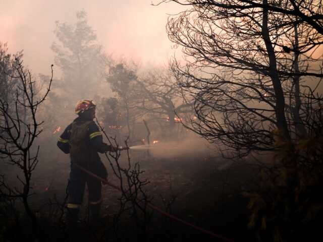 Φωτιά στα Μιτζαίικα Αχαΐας