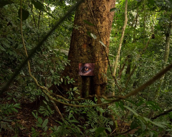 «Χταπόδι»: Το περιοδικό του ΕΜΣΤ επιστρέφει με 2ο τεύχος
