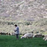 ΠΑΣΟΚ και ΣΥΡΙΖΑ ζητούν εξηγήσεις από την κυβέρνηση για τις επιδοτήσεις του ΟΠΕΚΕΠΕ σε «γαλάζια» πολιτεύτρια