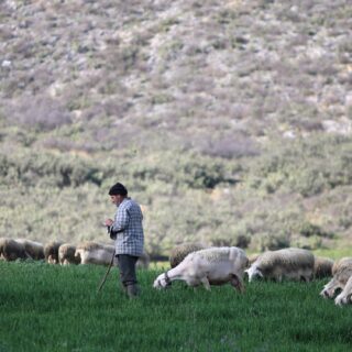 ΠΑΣΟΚ και ΣΥΡΙΖΑ ζητούν εξηγήσεις από την κυβέρνηση για τις επιδοτήσεις του ΟΠΕΚΕΠΕ σε «γαλάζια» πολιτεύτρια