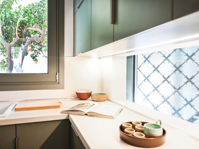 Οι μικρές διπλοκατοικίες της Αθήνας κρύβουν μια όμορφη ζωή