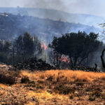 Λέσβος: Υπό έλεγχο η πυρκαγιά στην Μονή Λειμώνος