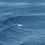 Ψίθυροι των Κυκλάδων “ακούγονται” σε μία έκθεση στη Νάξο!