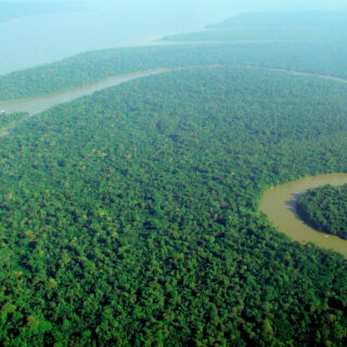 Ο Αμαζόνιος, όμηρος πολιτικών παζαριών