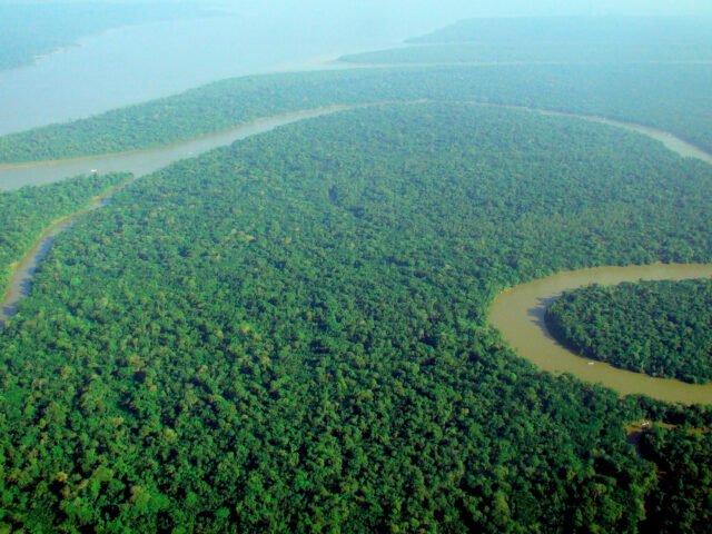 Ο Αμαζόνιος, όμηρος πολιτικών παζαριών