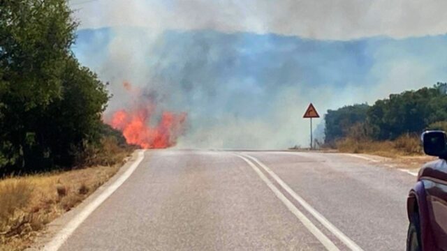 Πολύ υψηλός κίνδυνος πυρκαγιάς και σήμερα σε μεγάλο μέρος της χώρας