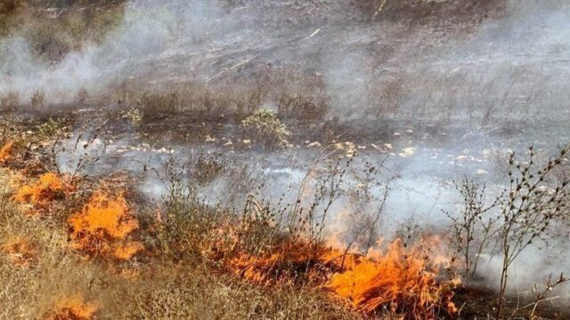 Φωτιά τώρα στο Λαύριο: Νέο 112 – «Εκκενώστε το Θορικό»