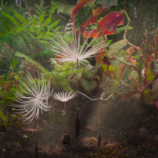 Το ANIMASYROS ενηλικιώνεται και πετάει από τη Σύρο στο διάστημα!